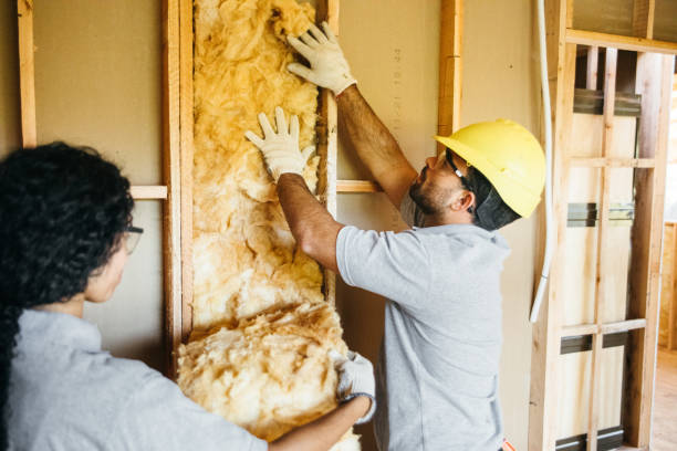 Best Eco-Friendly or Green Insulation Solutions  in Lake City, FL